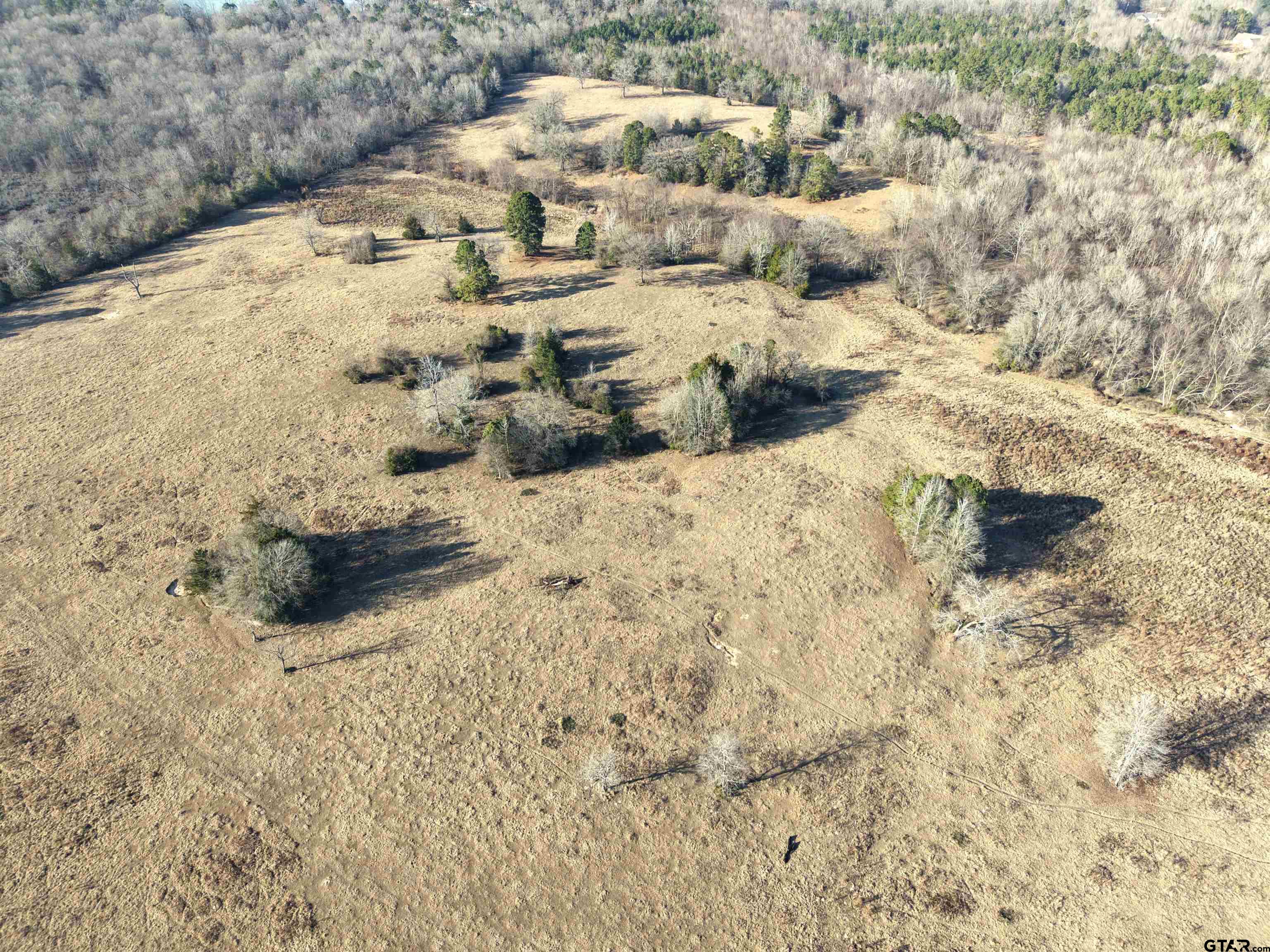 Tbd Squirrel Road Leesburg, TX 75451 - Photo 10 of 25