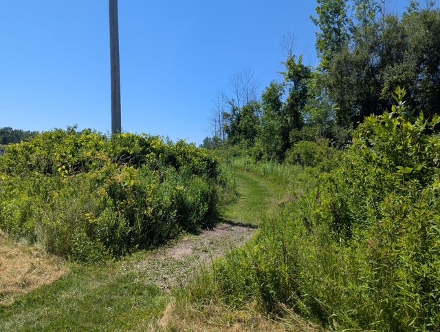 933 Pathway Lane Webster, NY 14580 - Photo 49 of 50 Private Walking Trail