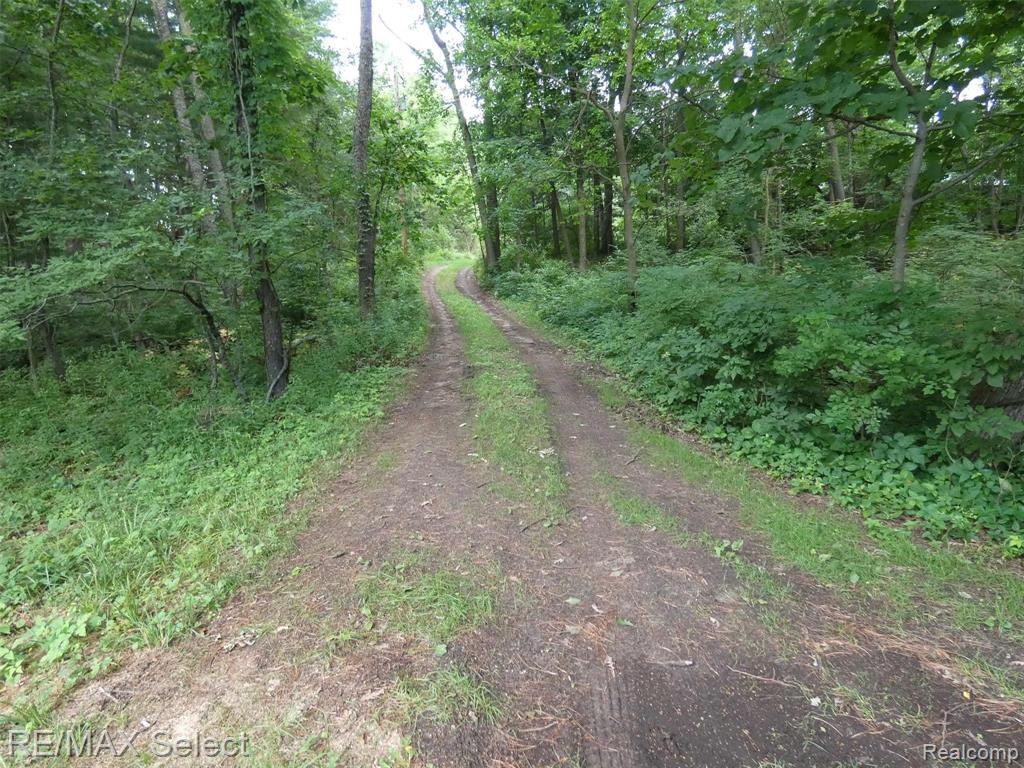 A3 Hartland Road Fenton, MI 48430 - Photo 2 of 7