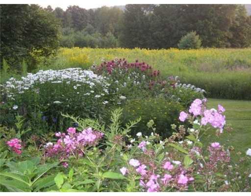 1210 East Pond Road Smithfield, ME 04978 - Photo 15 of 19 Yard/Garden.