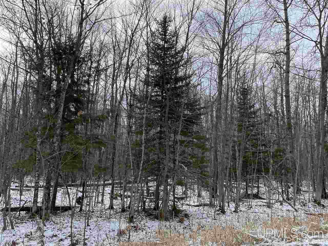 Tbd Portage Entry Road Chassell, MI 49916 - Photo 3 of 3