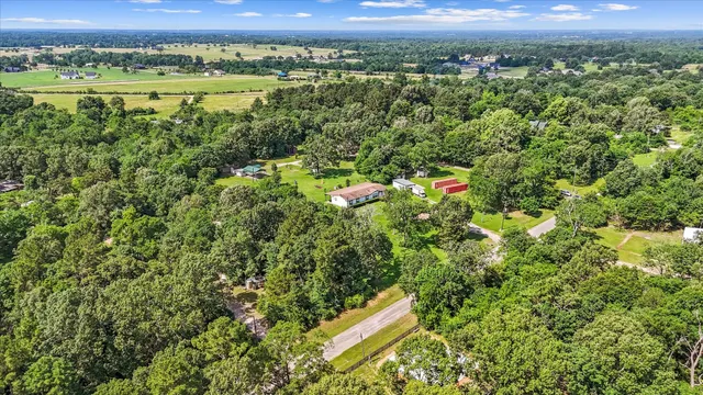 a view of a city with lush green forest
