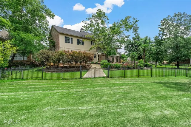 a view of a park and a tree
