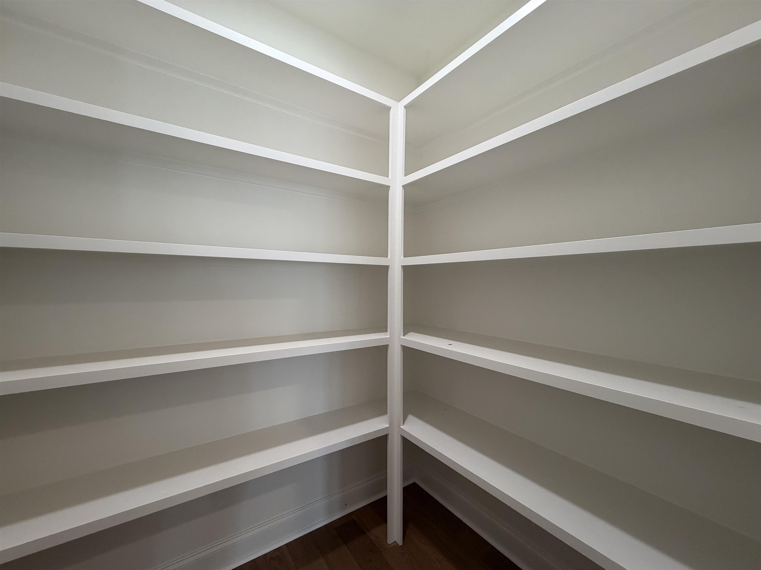 190 Rambling Rex Trail Piperton, TN 38017 - Photo 8 of 32 a view of walk in closet with empty racks