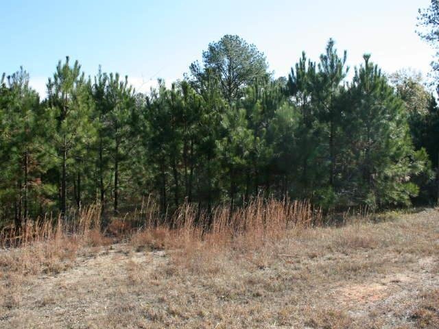 1367 Norton Road Northeast Conyers, GA 30012 - Photo 4 of 4 a view of a large yard with lots of green space