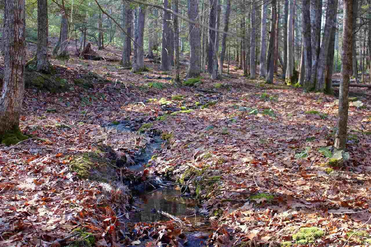 Parcel A Bennett Road Napanoch, NY 12458 - Photo 15 of 28 Photo 15
