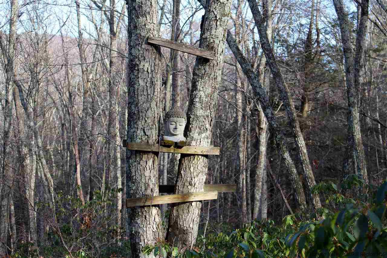 Parcel A Bennett Road Napanoch, NY 12458 - Photo 19 of 28 Photo 19