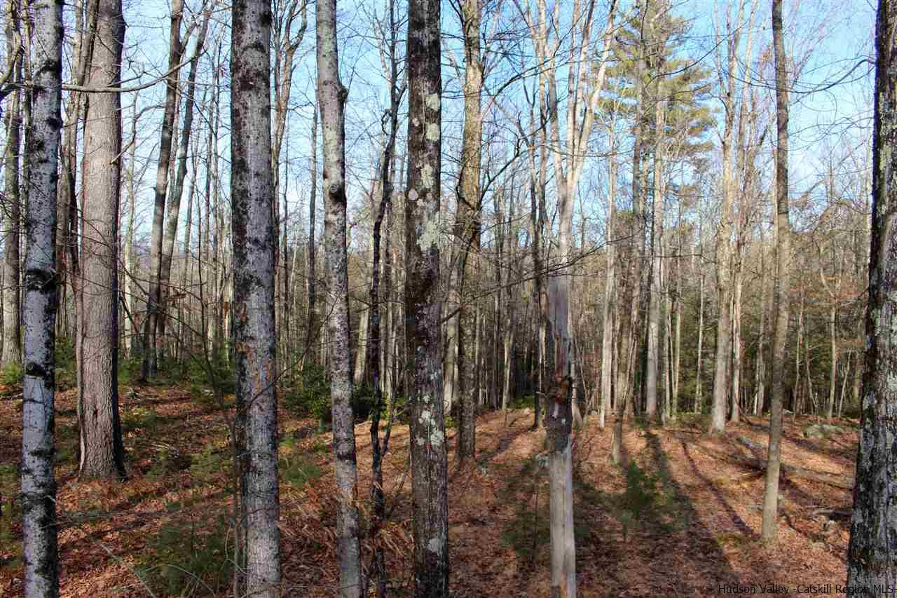 Parcel A Bennett Road Napanoch, NY 12458 - Photo 23 of 28 Photo 23