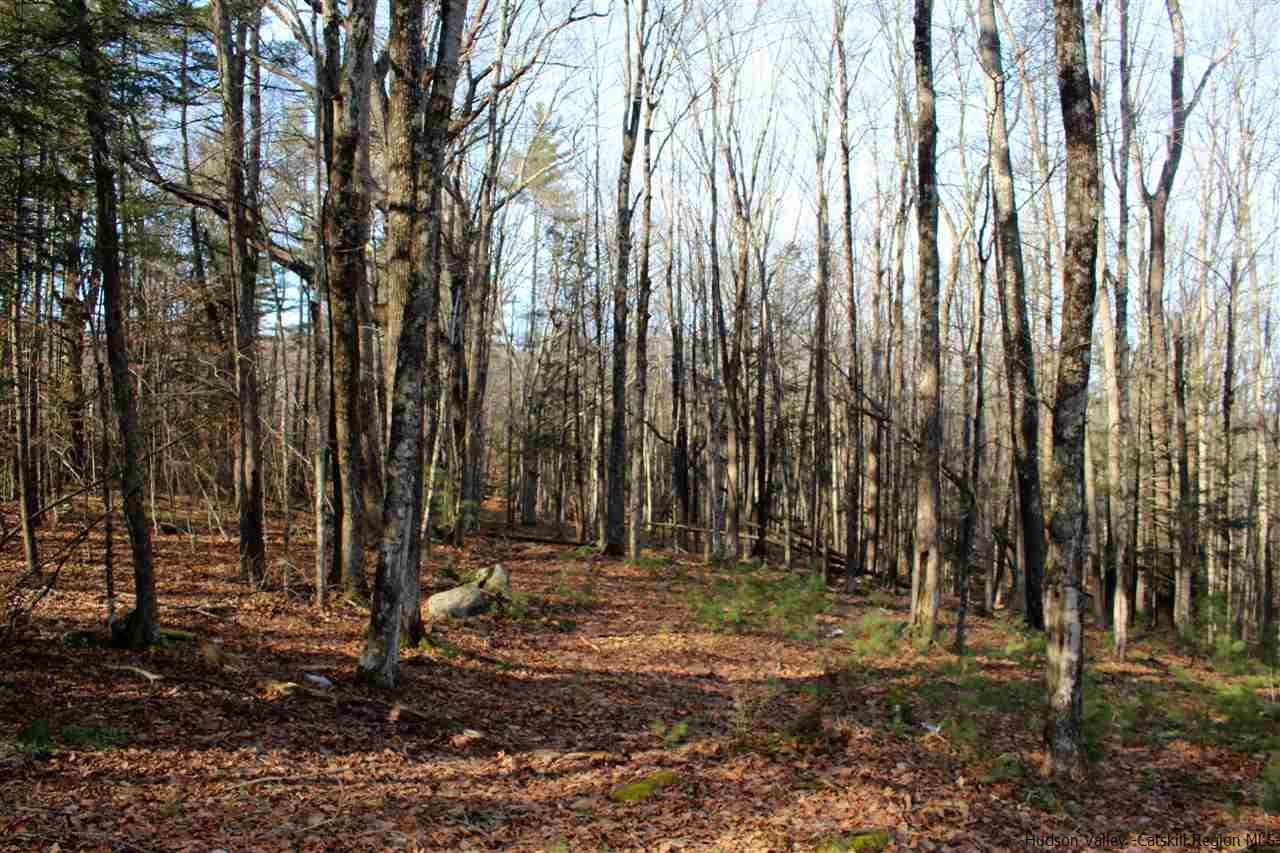 Parcel A Bennett Road Napanoch, NY 12458 - Photo 24 of 28 Photo 24