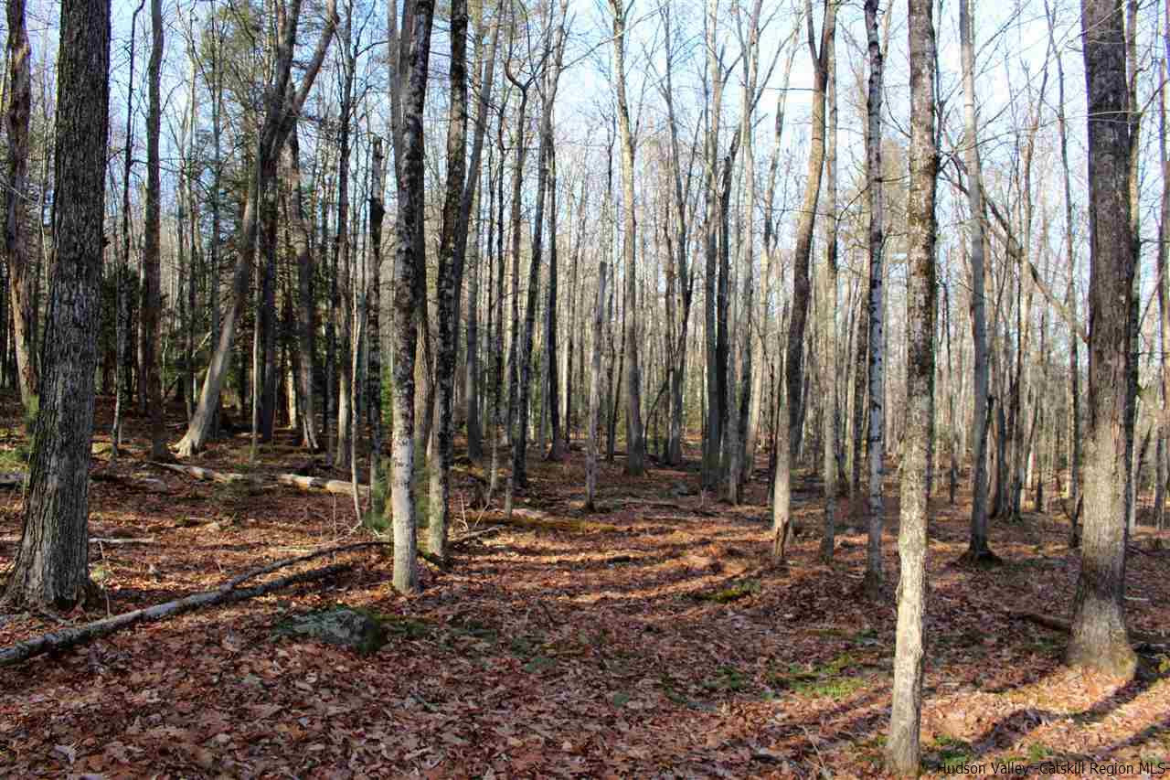 Parcel A Bennett Road Napanoch, NY 12458 - Photo 25 of 28 Photo 25