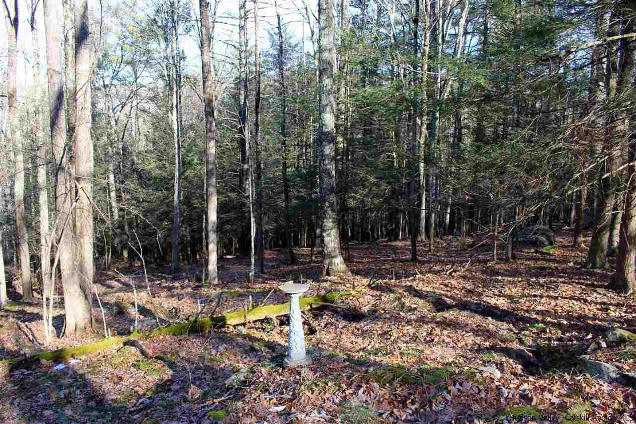 Parcel A Bennett Road Napanoch, NY 12458 - Photo 26 of 28 Photo 26