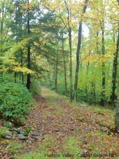 Parcel A Bennett Road Napanoch, NY 12458 - Photo 8 of 28 Photo 8