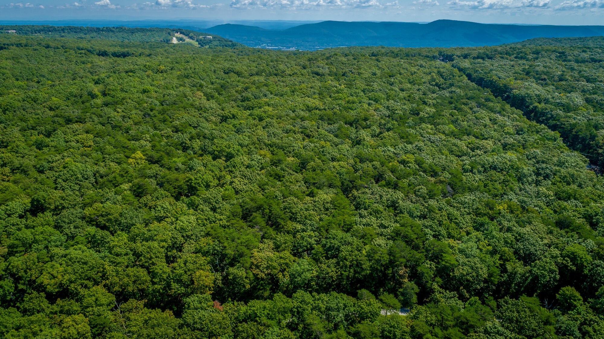 6 Highlands Forest Road Cloudland, GA 30731 - Photo 73 of 100 Gallery Image 73