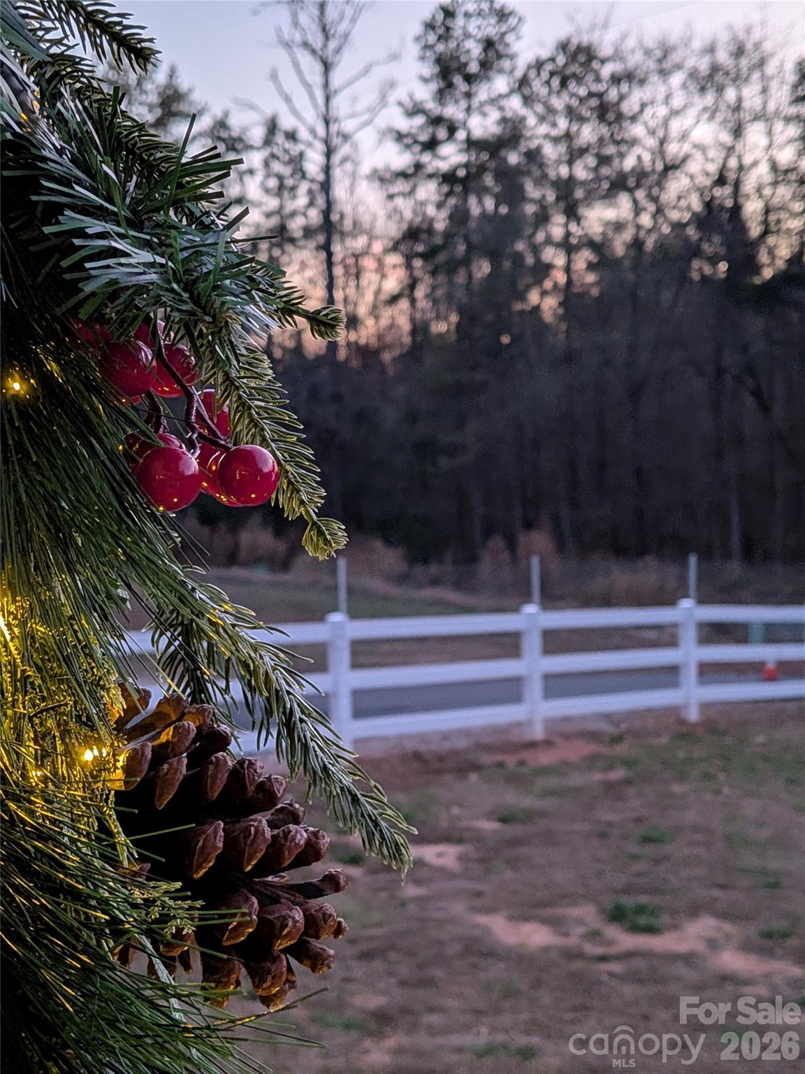 4592 Reid Road Rock Hill, SC 29730 - Photo 23 of 37