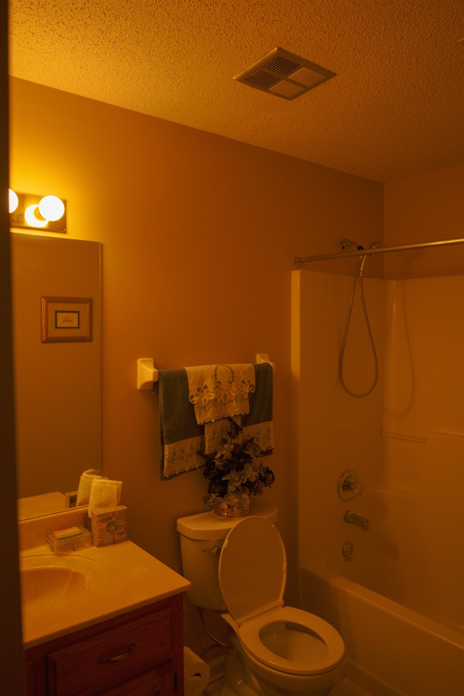 4100 Altruria Road Bartlett, TN 38135 - Photo 11 of 23 Full bathroom with bathing tub / shower combination, toilet, vanity, and a textured ceiling