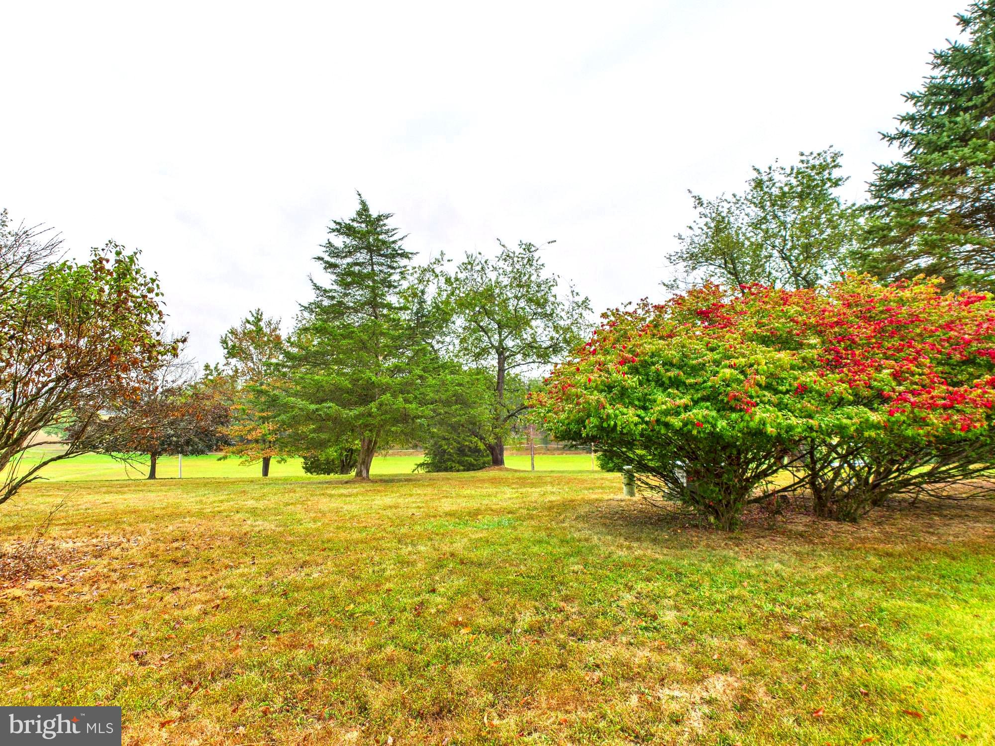 1568 Table Rock Road Gettysburg, PA 17325 - Photo 28 of 32 Beautiful Views from the Home