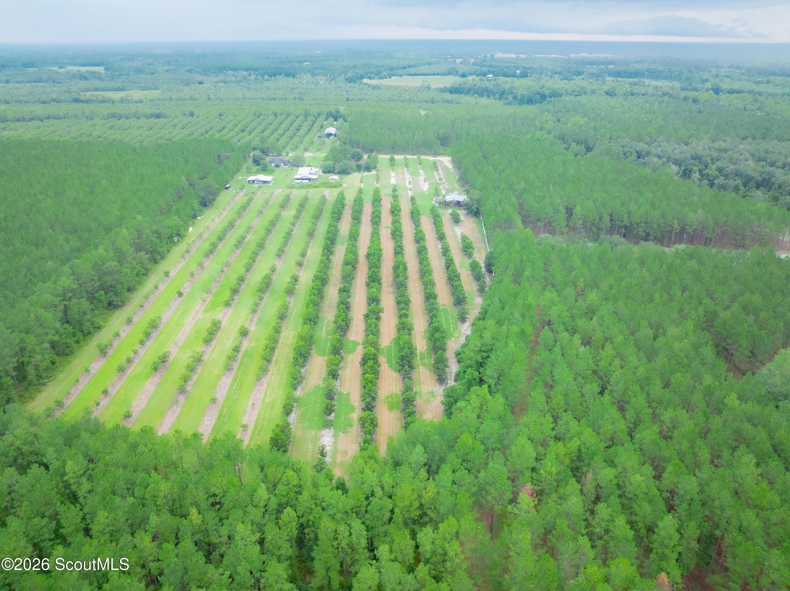 0 Deerfield Road Blackshear, GA 31516 - Photo 18 of 20 DJI_0363-HDR