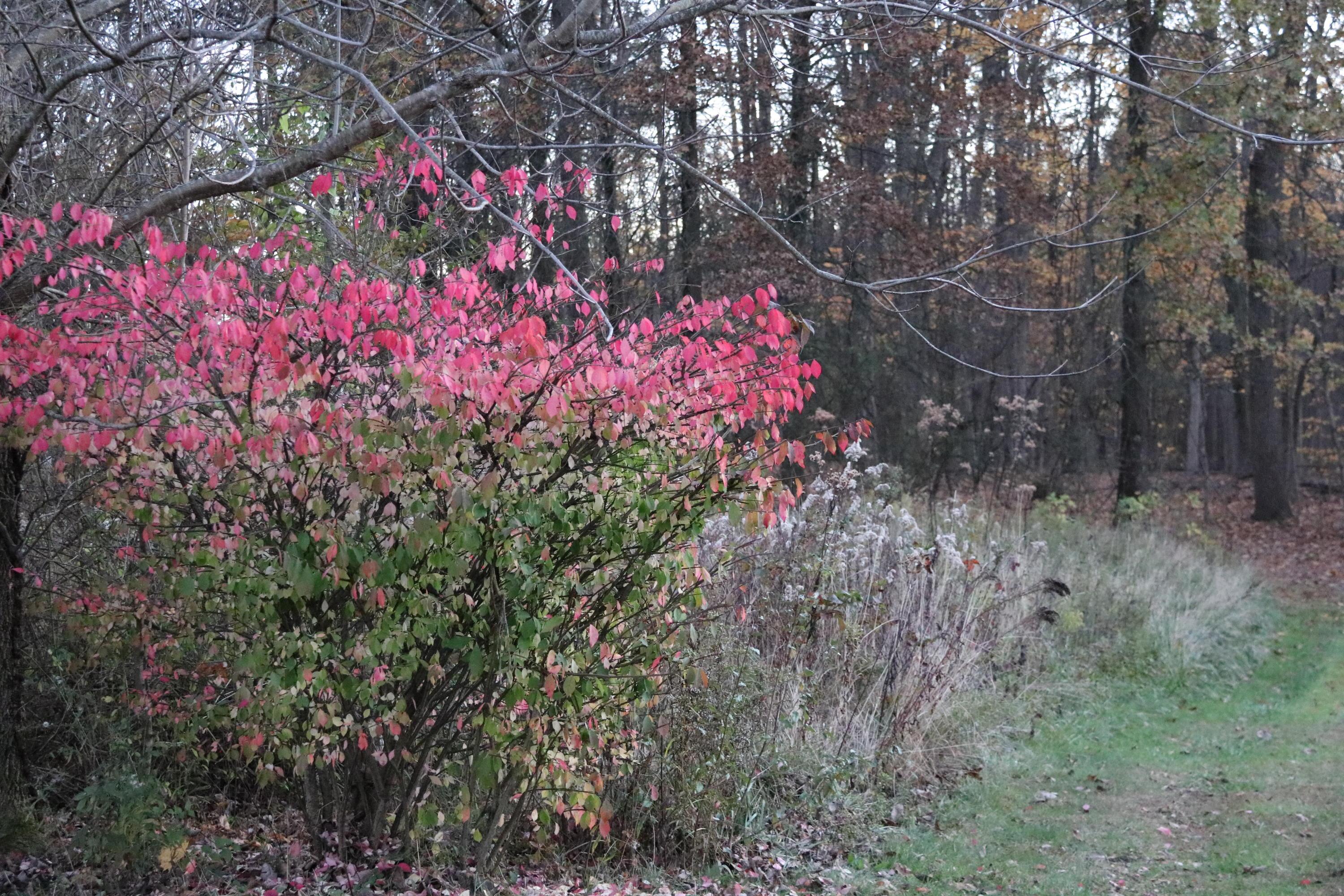 0 Miller Road Northwest Johnstown, OH 43031 - Photo 2 of 9