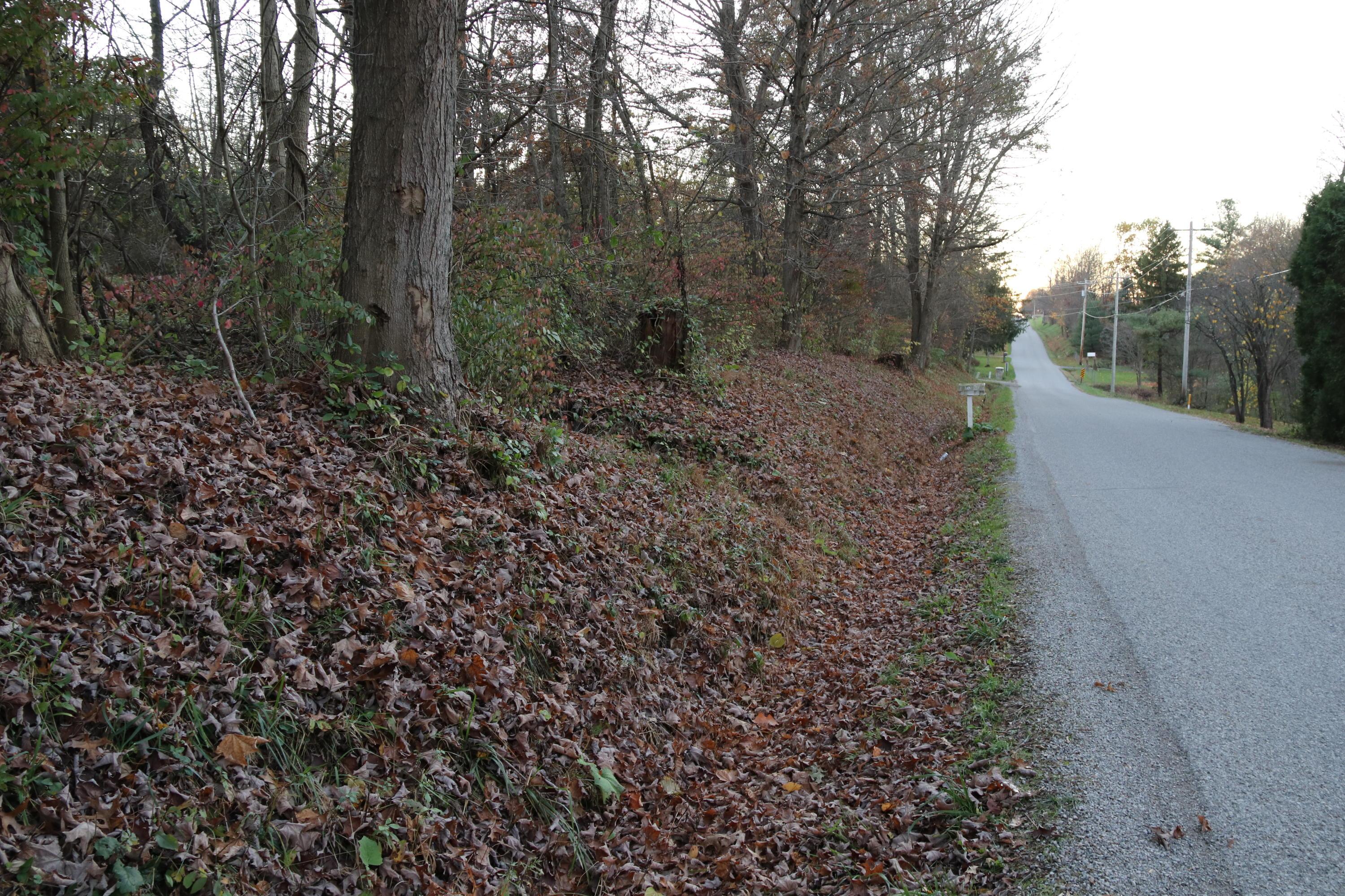 0 Miller Road Northwest Johnstown, OH 43031 - Photo 4 of 9