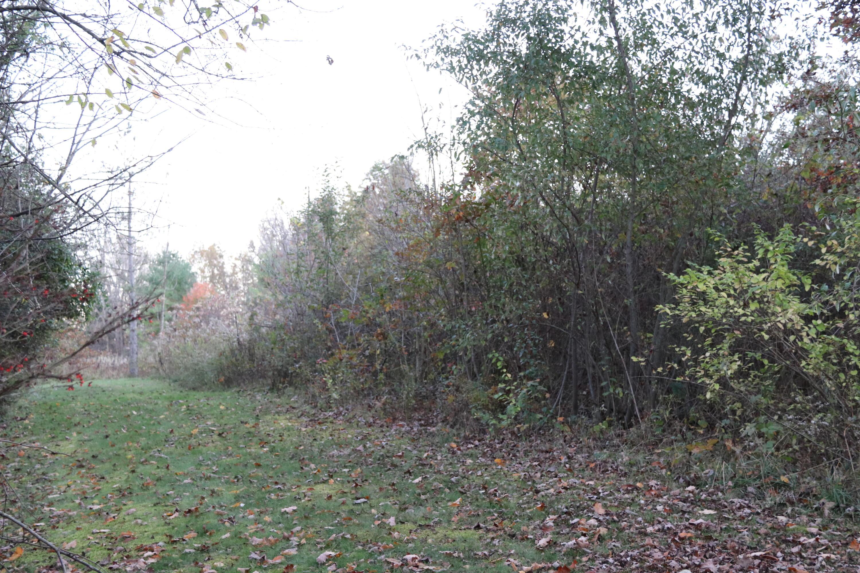 0 Miller Road Northwest Johnstown, OH 43031 - Photo 6 of 9