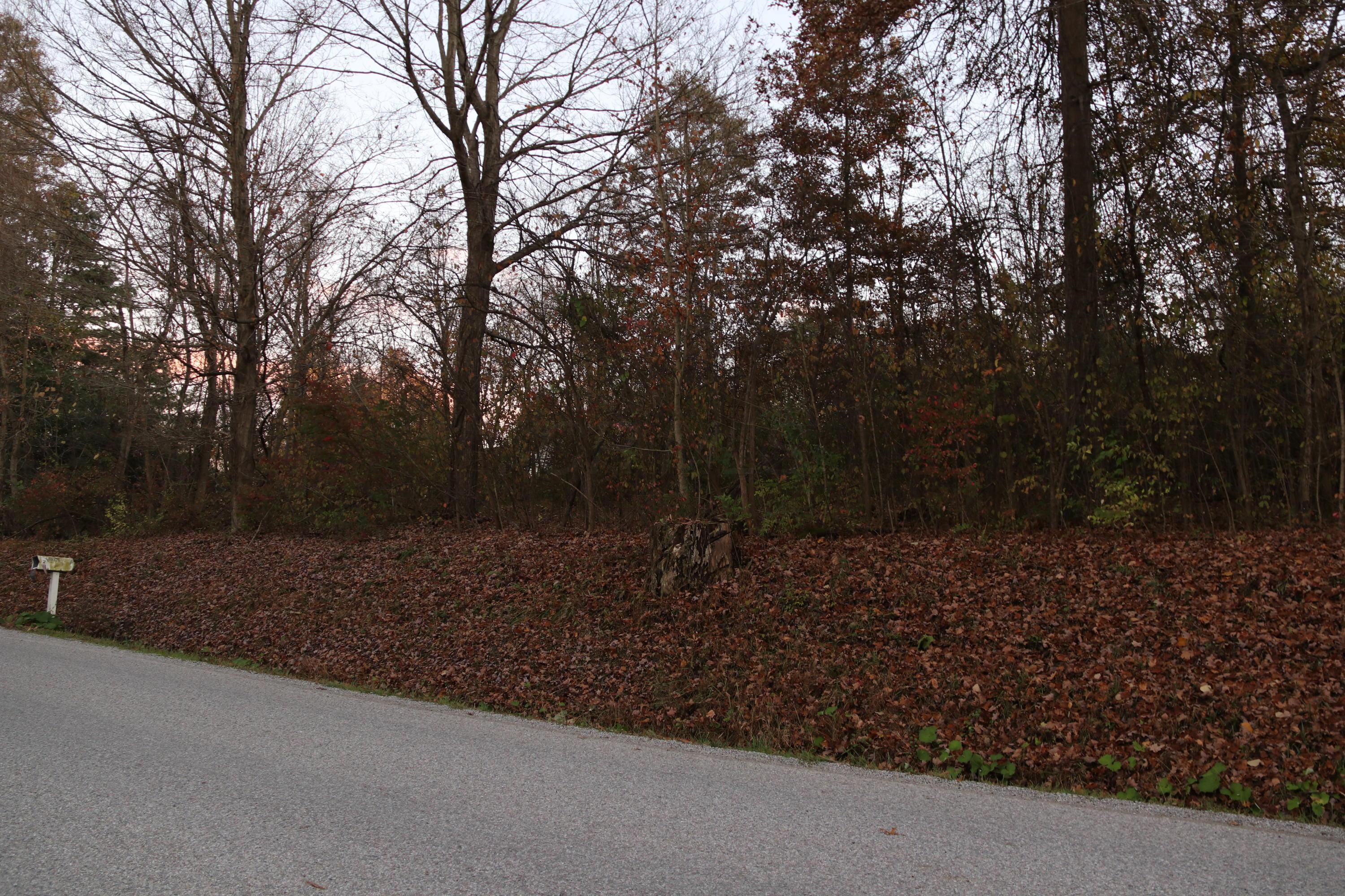 0 Miller Road Northwest Johnstown, OH 43031 - Photo 9 of 9