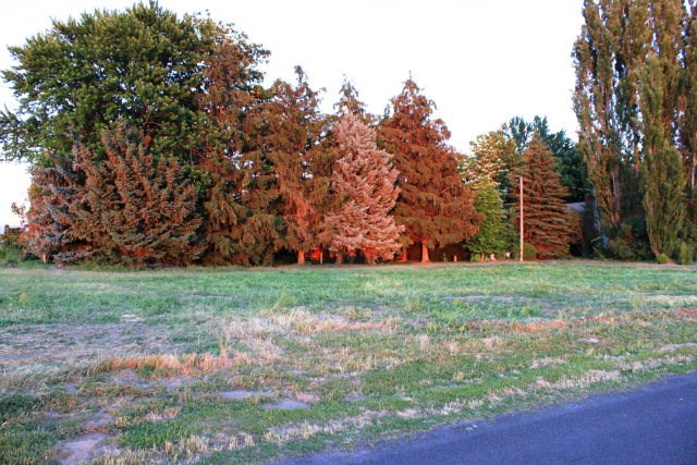 3761 Pranger Road Walla Walla, WA 99362 - Photo 13 of 30