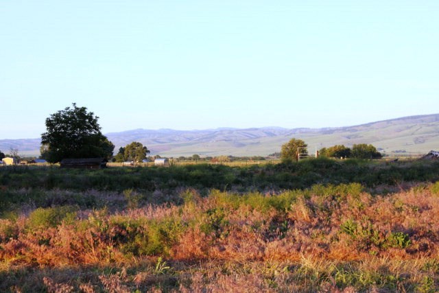 3761 Pranger Road Walla Walla, WA 99362 - Photo 3 of 30