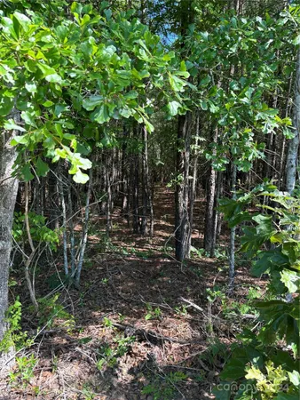 a backyard of a house with lots of plants and tree