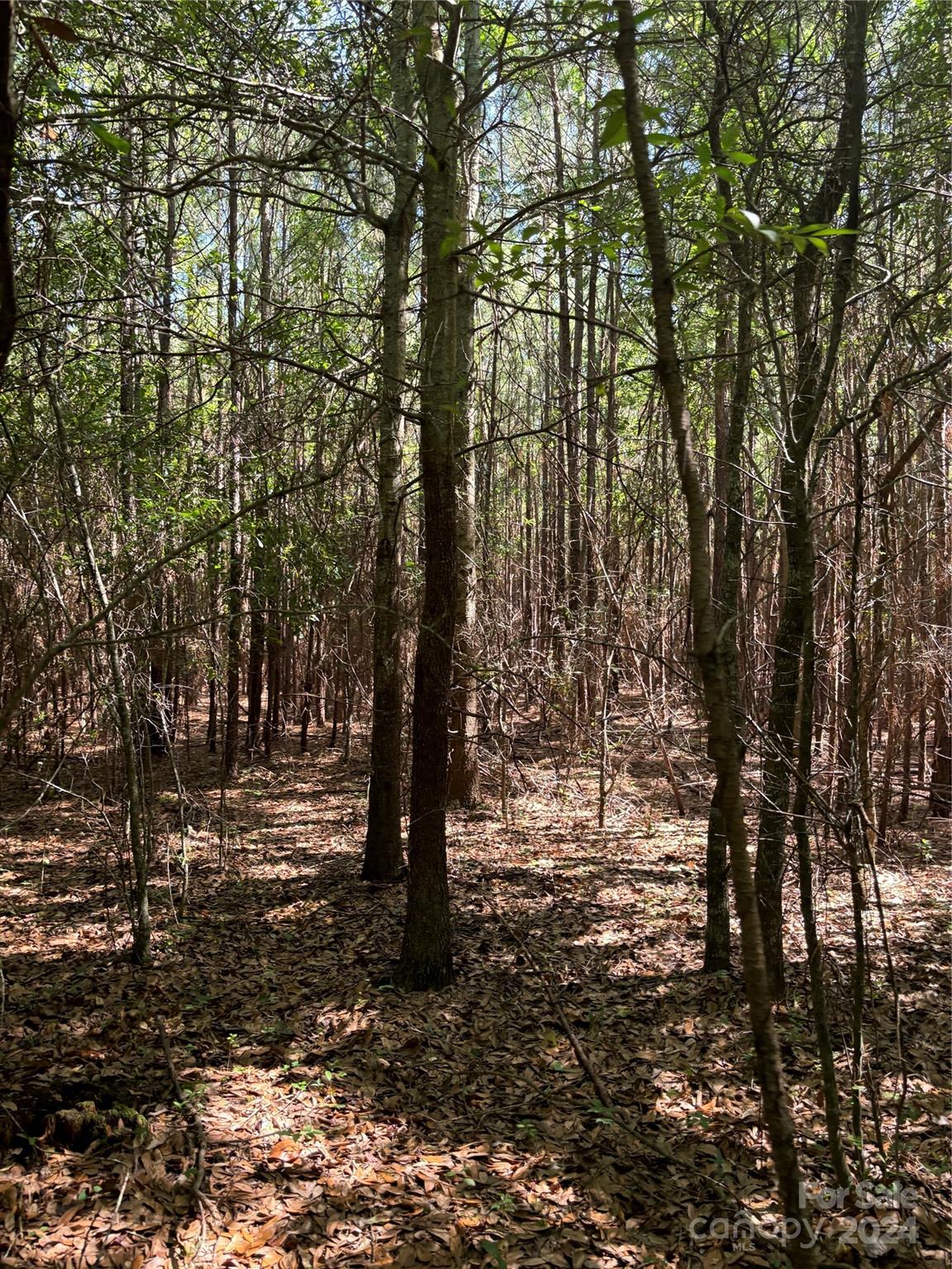 0 Columbus Road, Unit 7 Rembert, SC 29128 - Photo 6 of 8 a view of outdoor space with trees