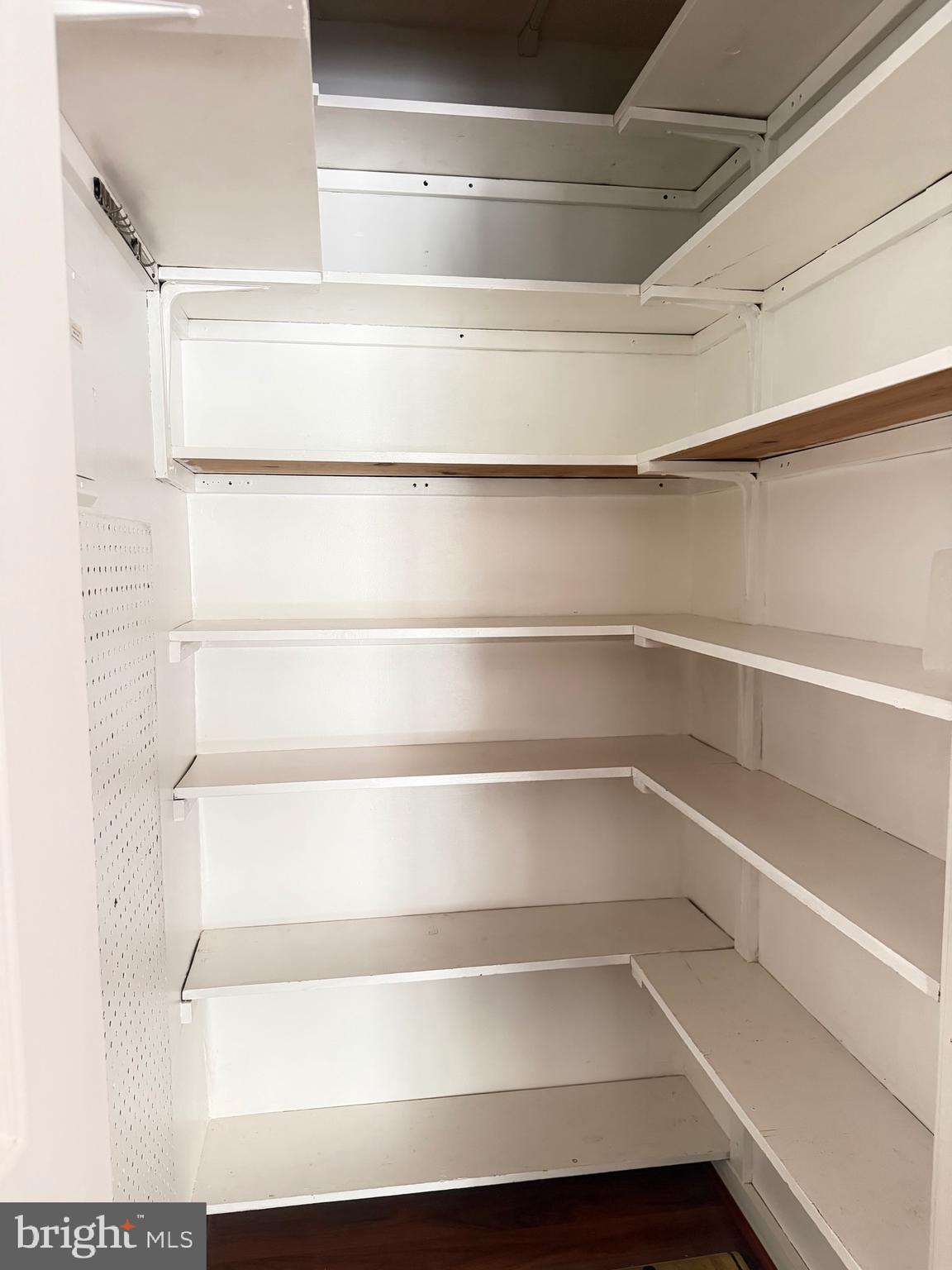 15107 Interlachen Drive, Unit 2119 Silver Spring, MD 20906 - Photo 8 of 27 Storage Closet