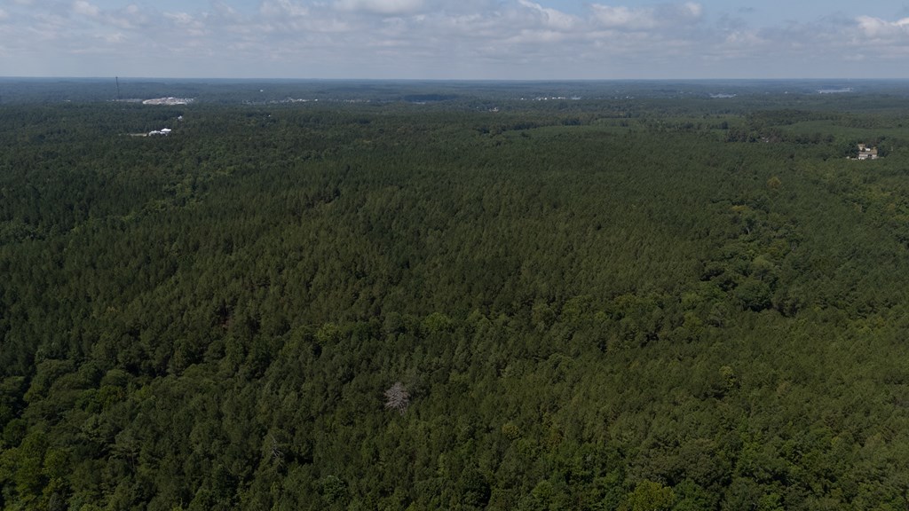 0 Highway 221 S Waterloo Sc 29384 Waterloo, SC 29384 - Photo 14 of 14