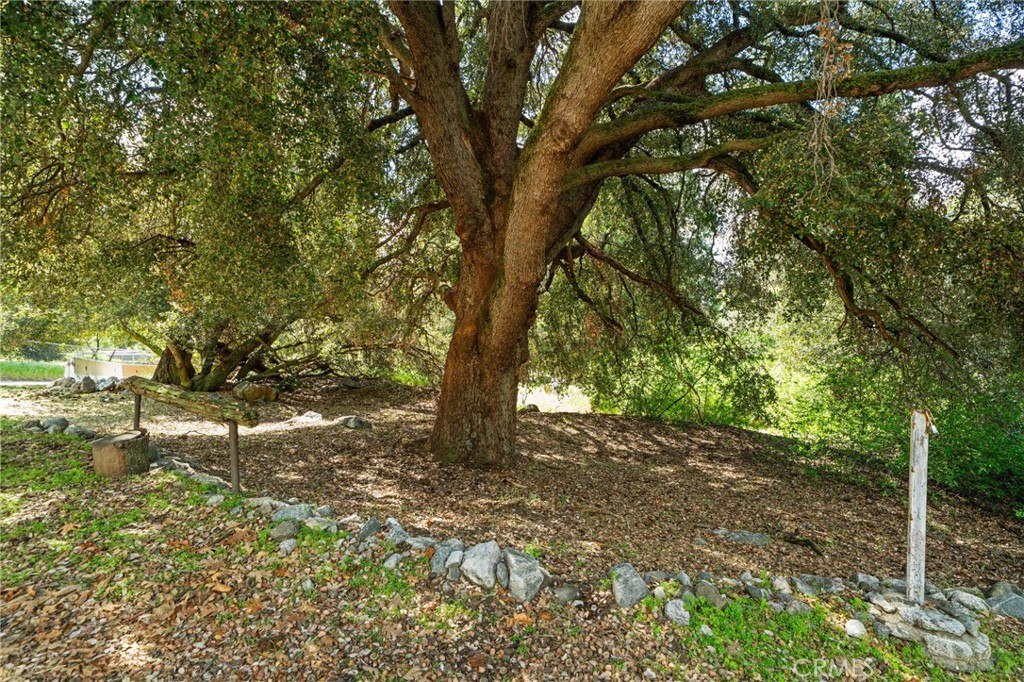 39804 Pine Bench Road Yucaipa, CA 92399 - Photo 40 of 57