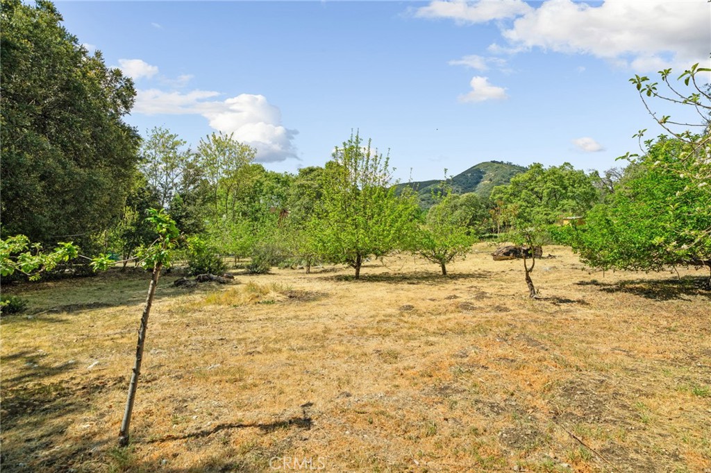 39804 Pine Bench Road Yucaipa, CA 92399 - Photo 43 of 57