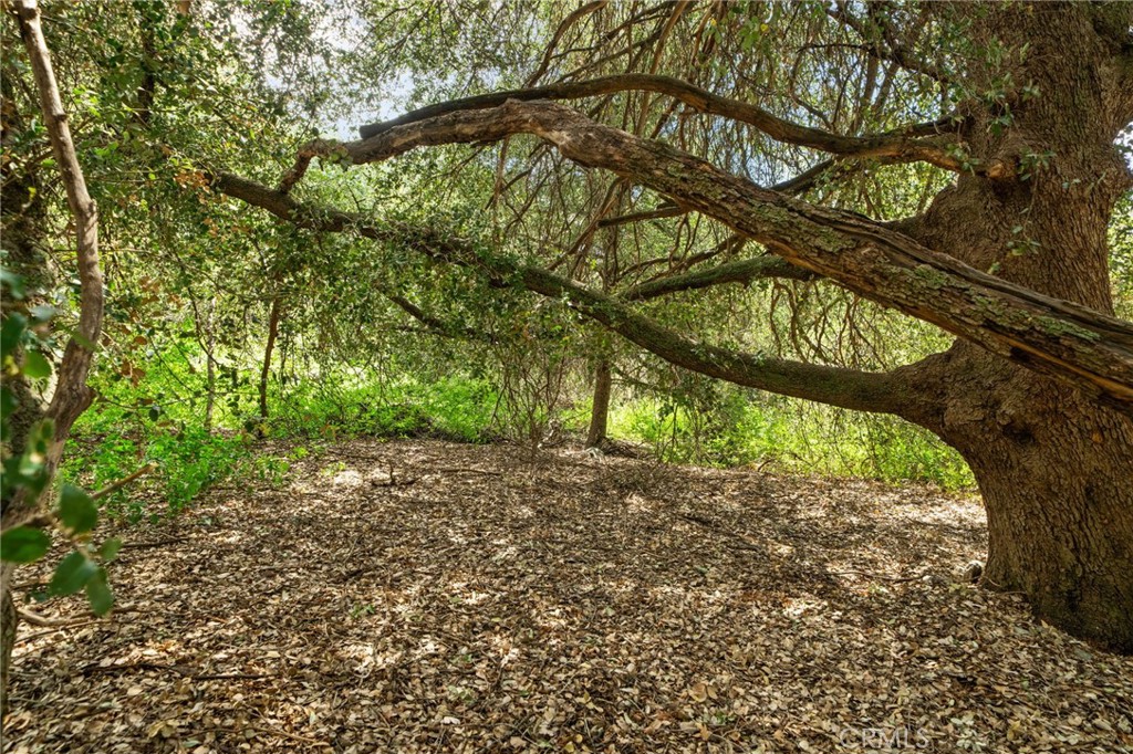 39804 Pine Bench Road Yucaipa, CA 92399 - Photo 47 of 57