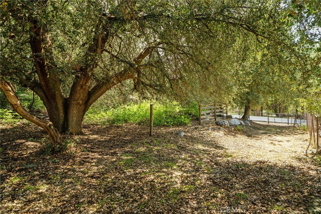 39804 Pine Bench Road Yucaipa, CA 92399 - Photo 48 of 57