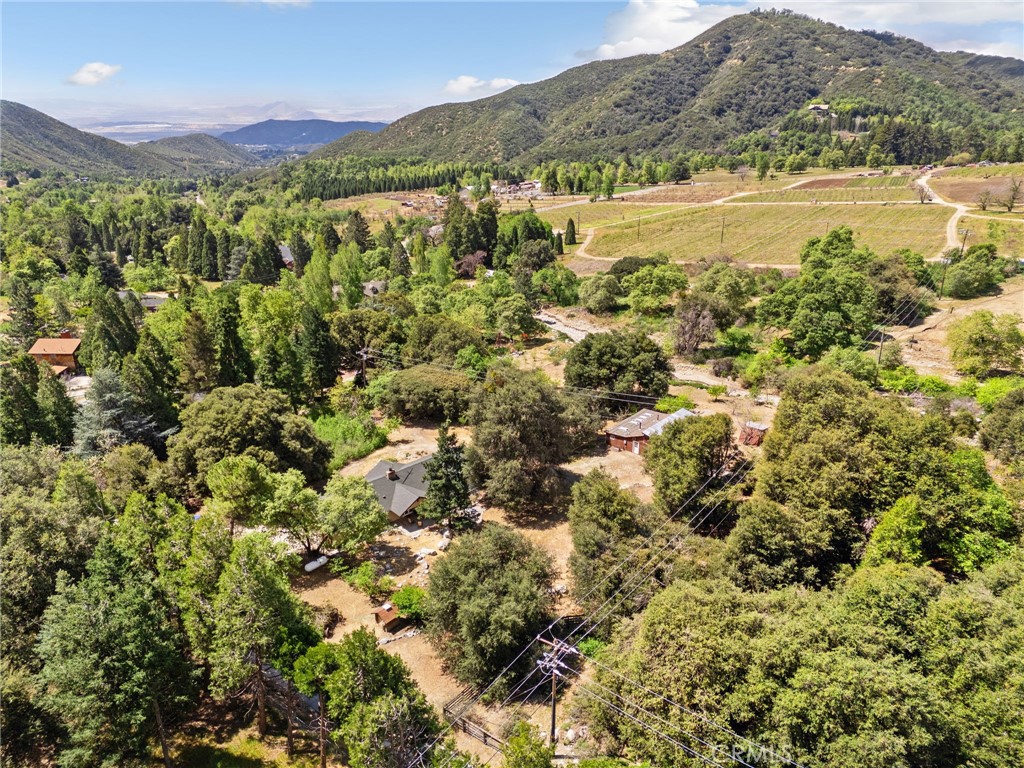 39804 Pine Bench Road Yucaipa, CA 92399 - Photo 51 of 57