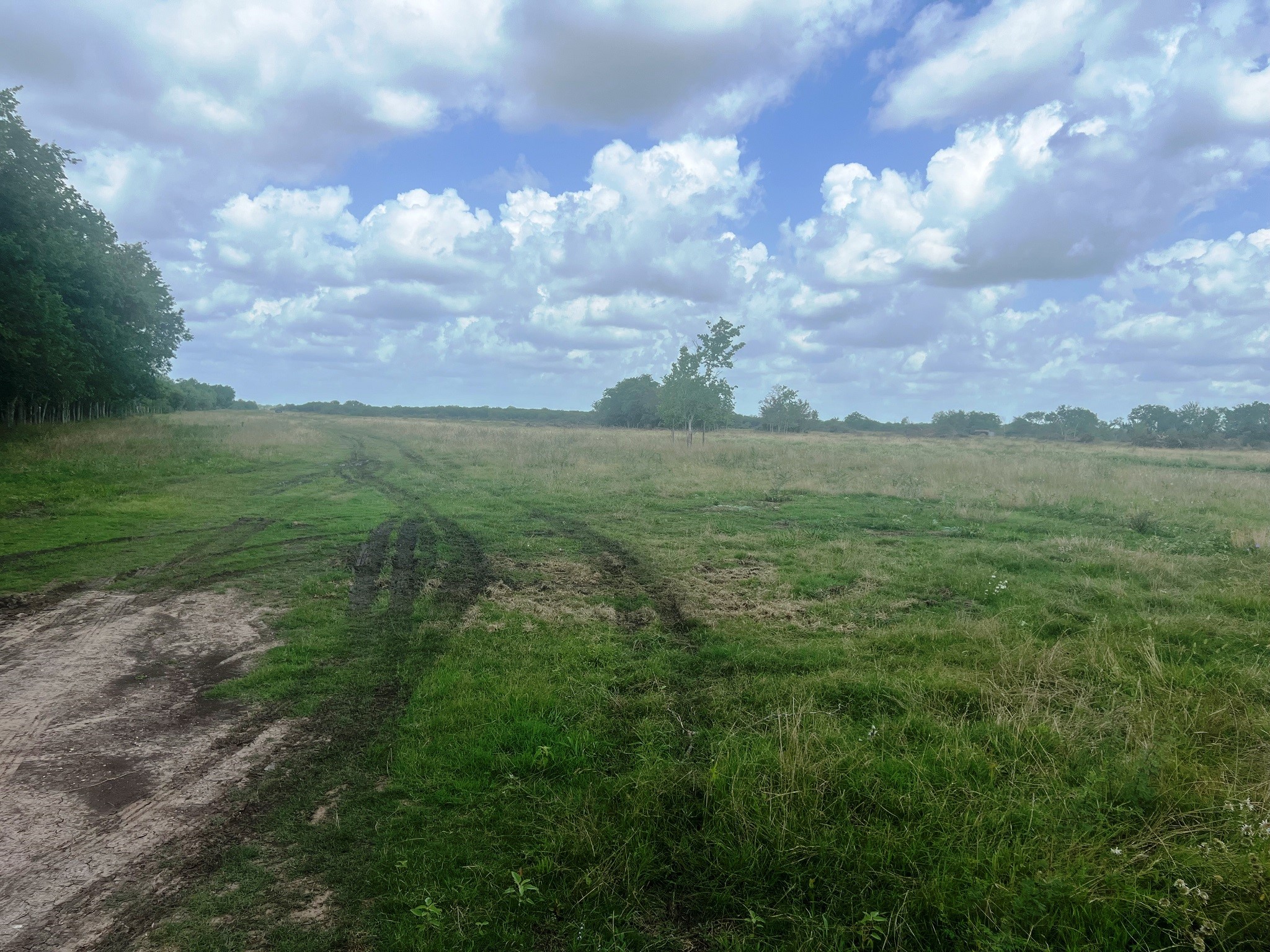 8925 Kerr Road Hempstead, TX 77445 - Photo 10 of 11