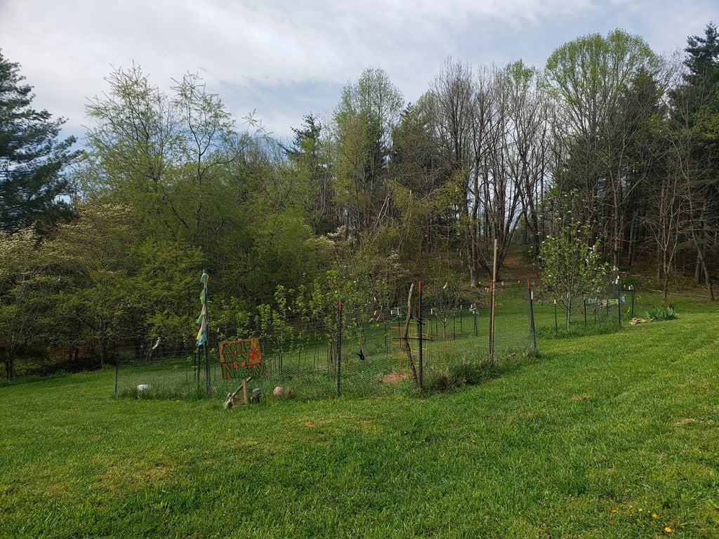 989 Briar Patch Mountain Road Fries, VA 24330 - Photo 7 of 39 Gallery Image 7