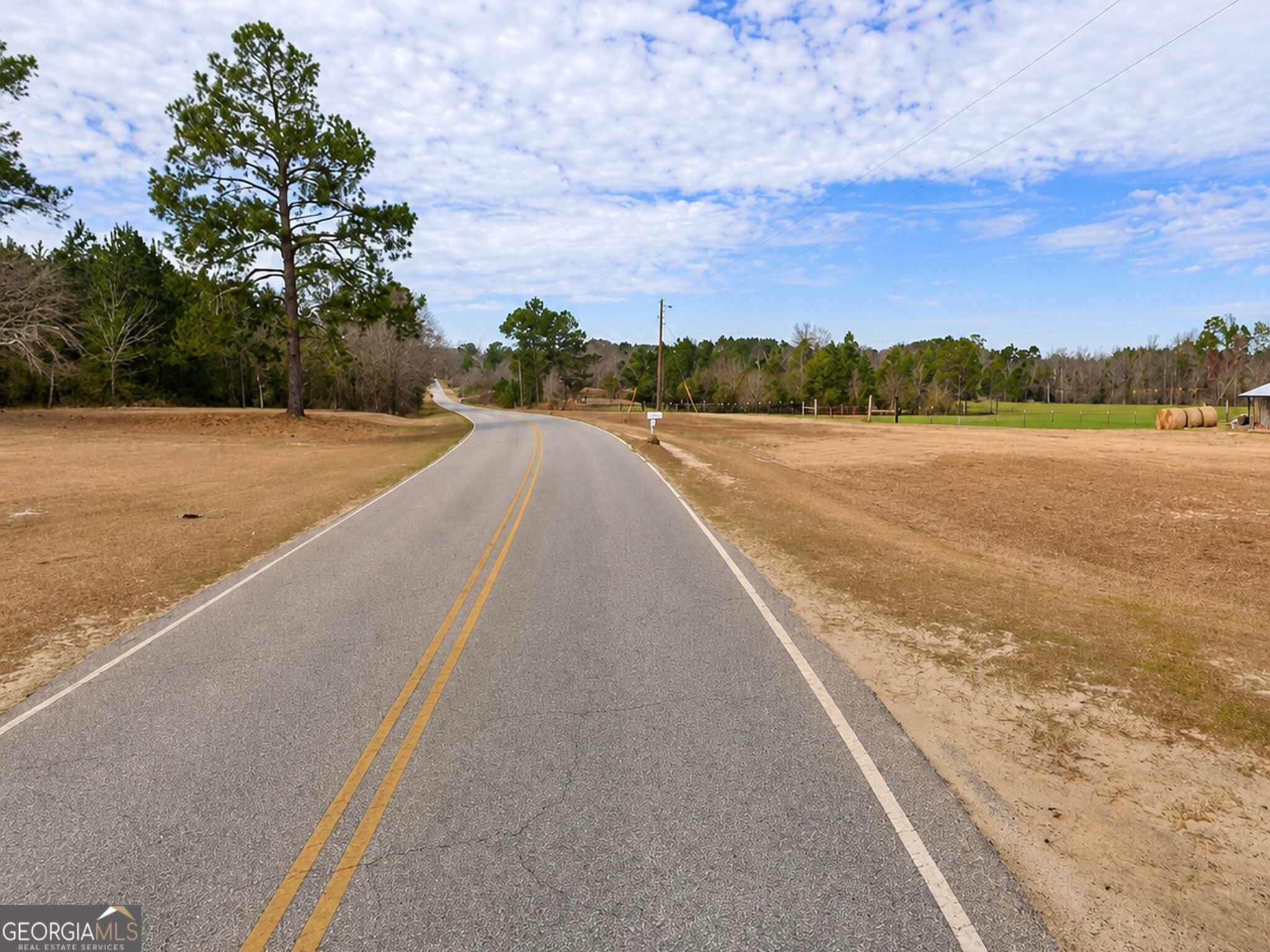 23.03-acres Carters Bridge Road Claxton, GA 30417 - Photo 17 of 20 Gallery Image 17