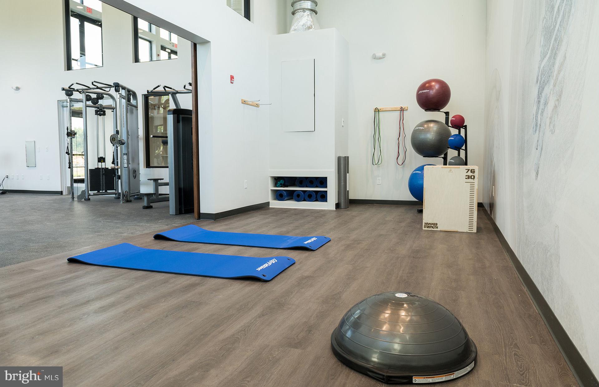 171 Waterleaf Drive, Unit 2 Laurel, MD 20724 - Photo 31 of 44 The Refuge - Yoga Studio