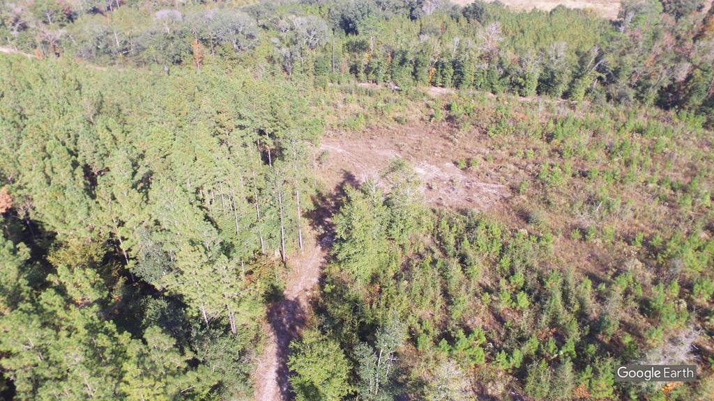0 Greenhouse Road Gordon, AL 36343 - Photo 10 of 38