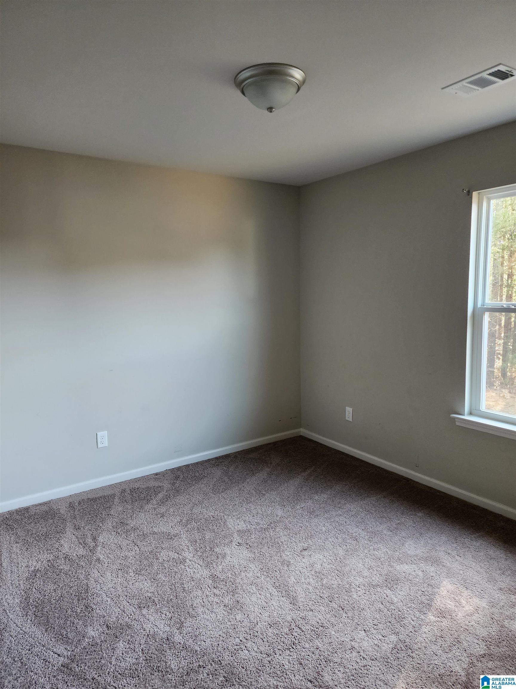 16112 Stone Ridge Parkway Brookwood, AL 35444 - Photo 30 of 60