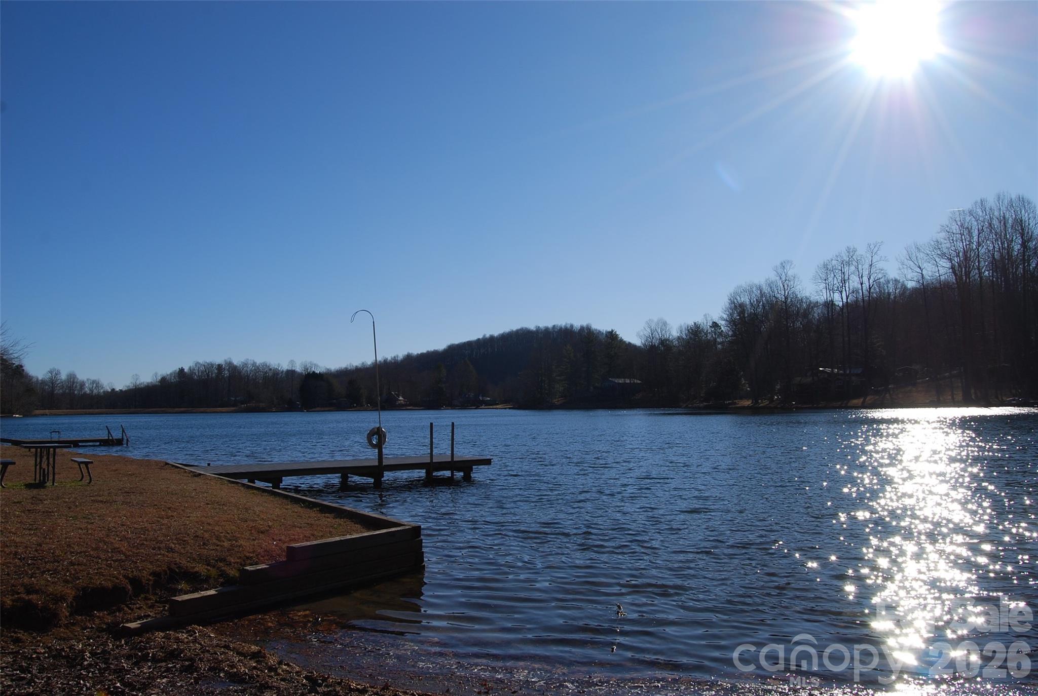 87 Pole Cat Road Saluda, NC 28773 - Photo 1 of 10 a view of lake with mountain