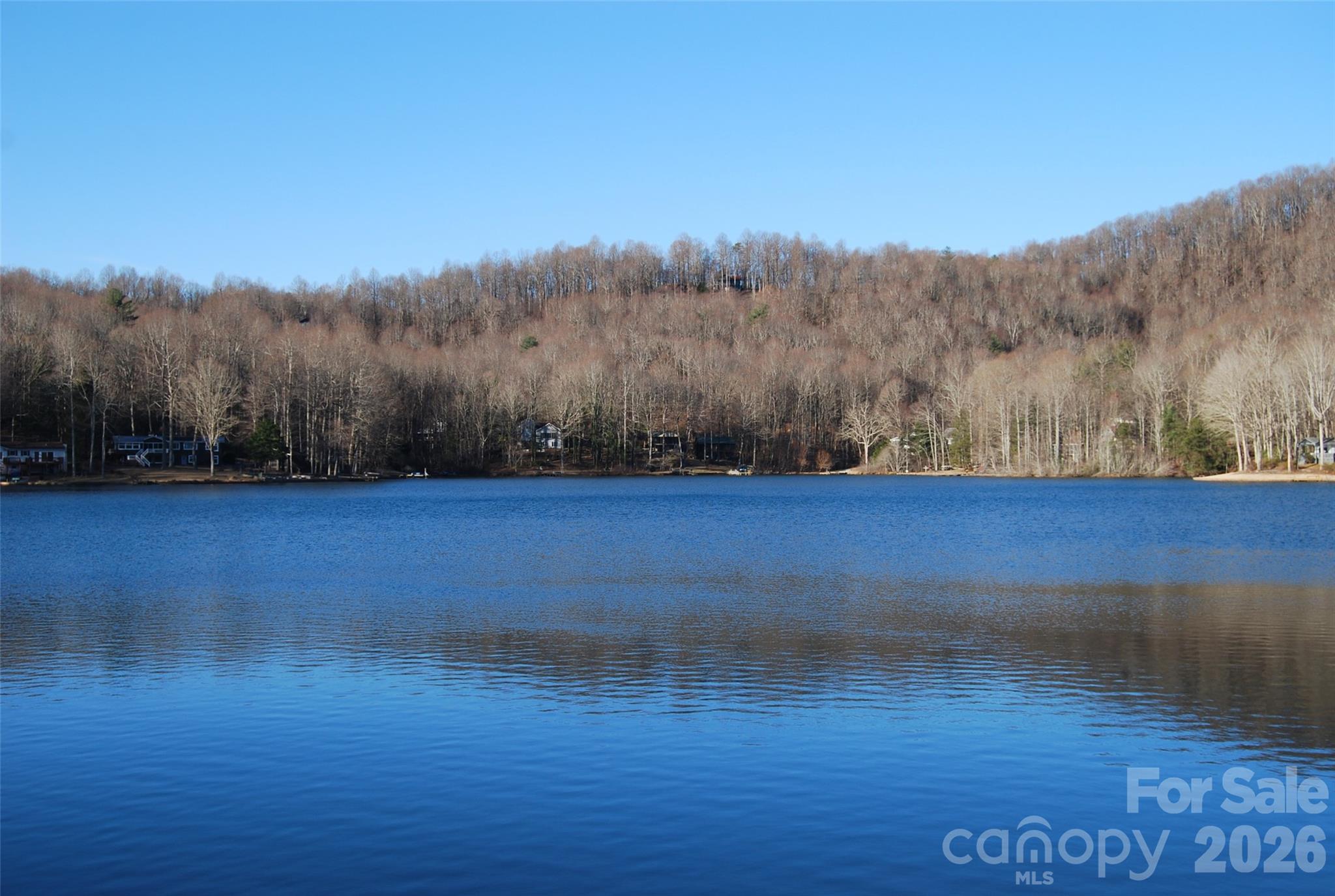 87 Pole Cat Road Saluda, NC 28773 - Photo 3 of 10 a view of basketball court