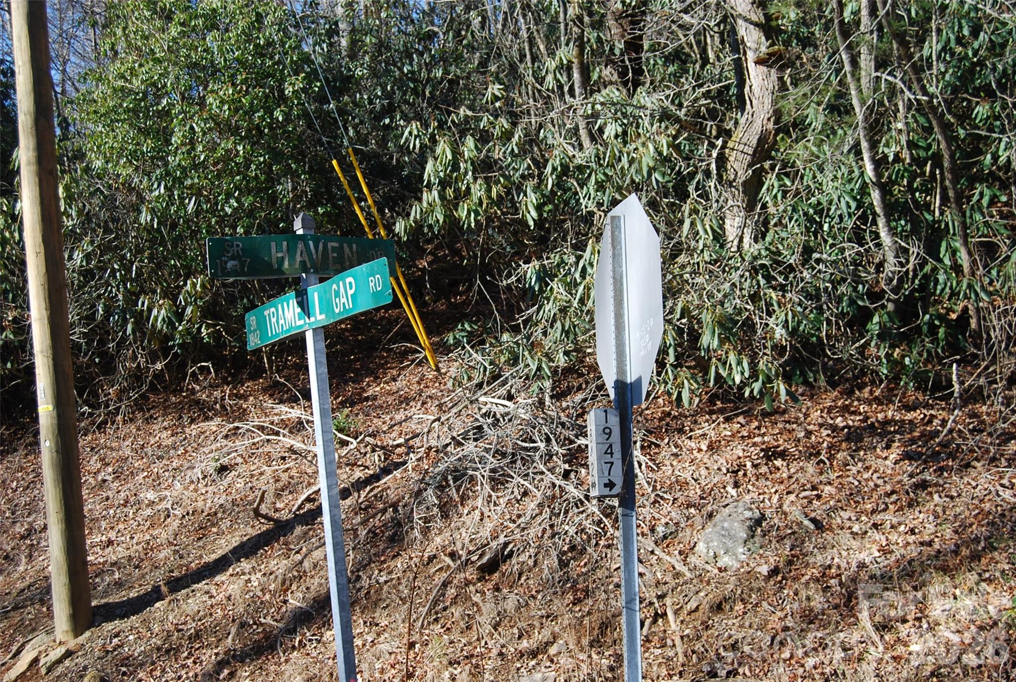 87 Pole Cat Road Saluda, NC 28773 - Photo 5 of 10 a flag is sitting in the middle of a forest