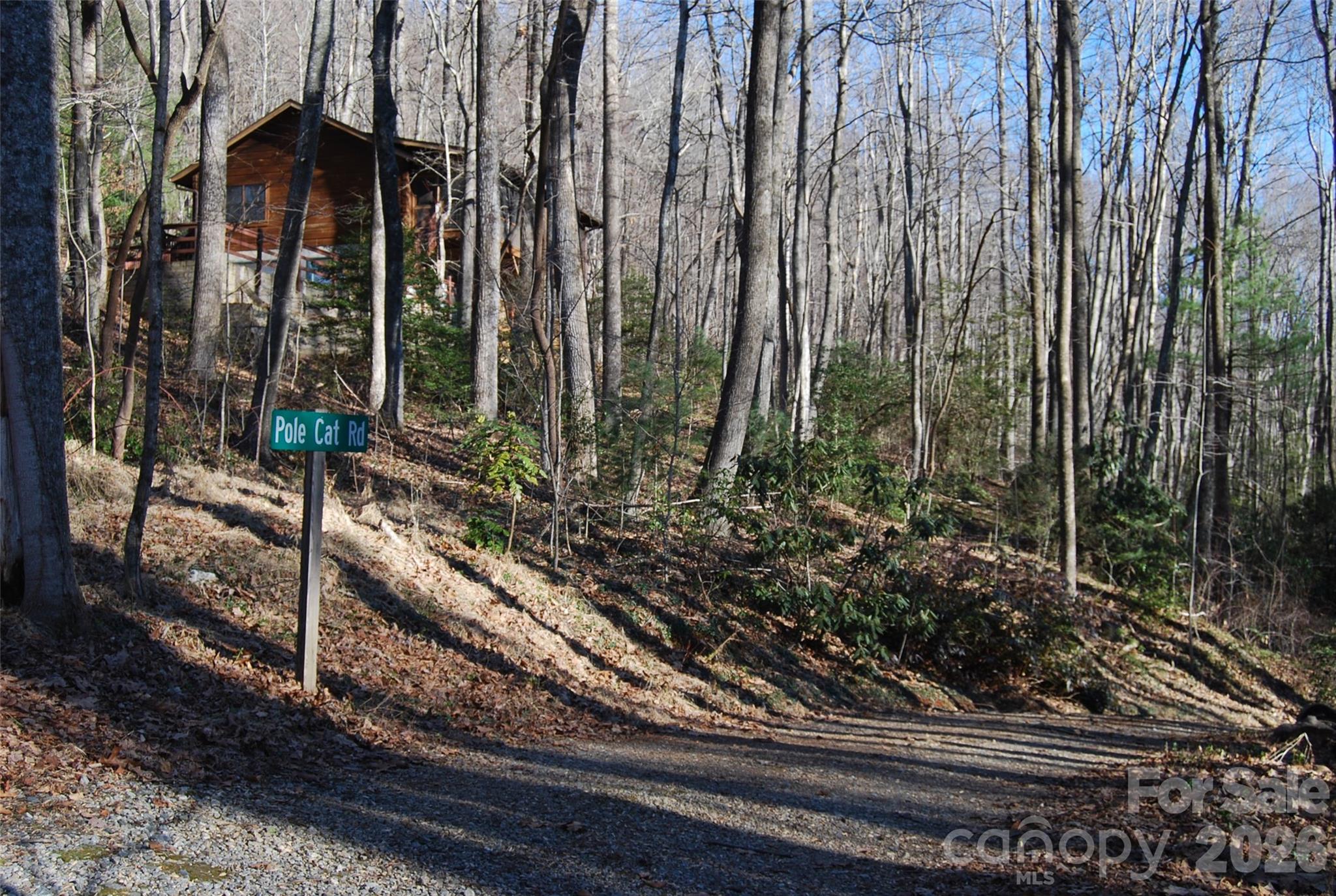 87 Pole Cat Road Saluda, NC 28773 - Photo 6 of 10 a view of a garden