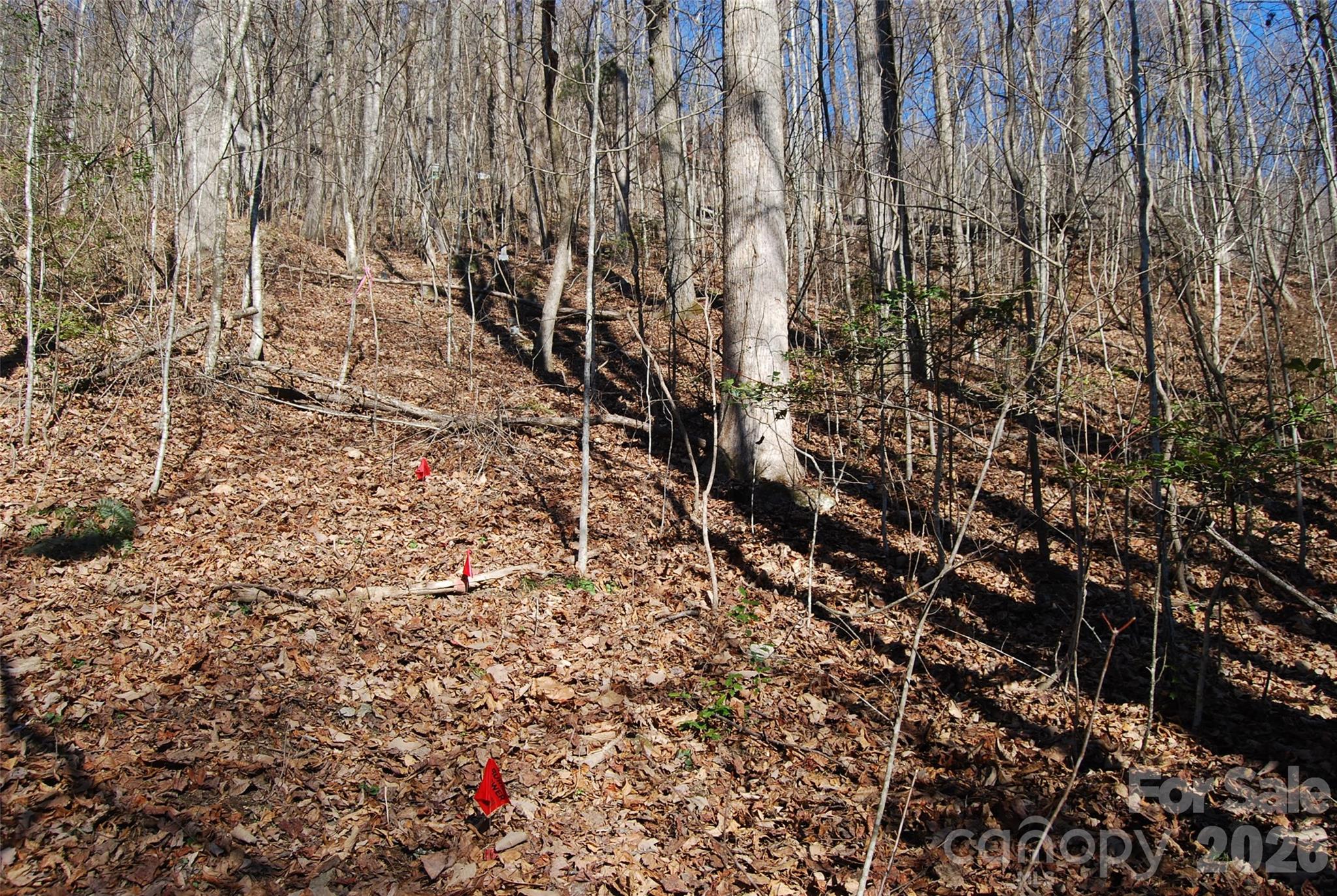 87 Pole Cat Road Saluda, NC 28773 - Photo 8 of 10 a view of pathway with yard