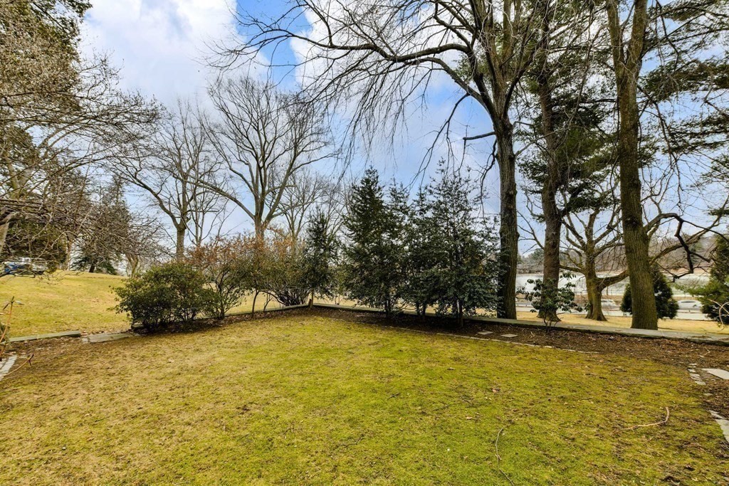 19 Catlin Road Brookline, MA 02445 - Photo 11 of 29