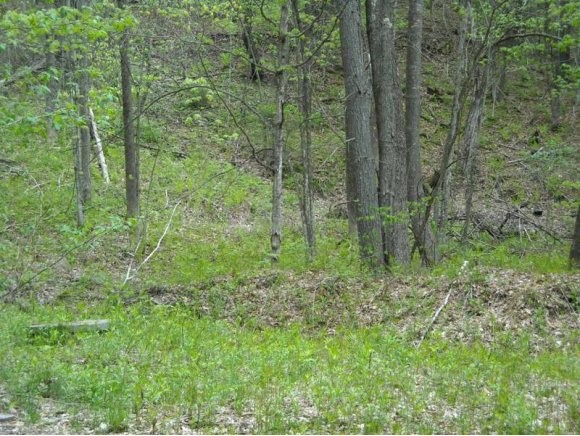 83 Cardigan Mountain Road Canaan, NH 03741 - Photo 20 of 21 Gallery Image 20