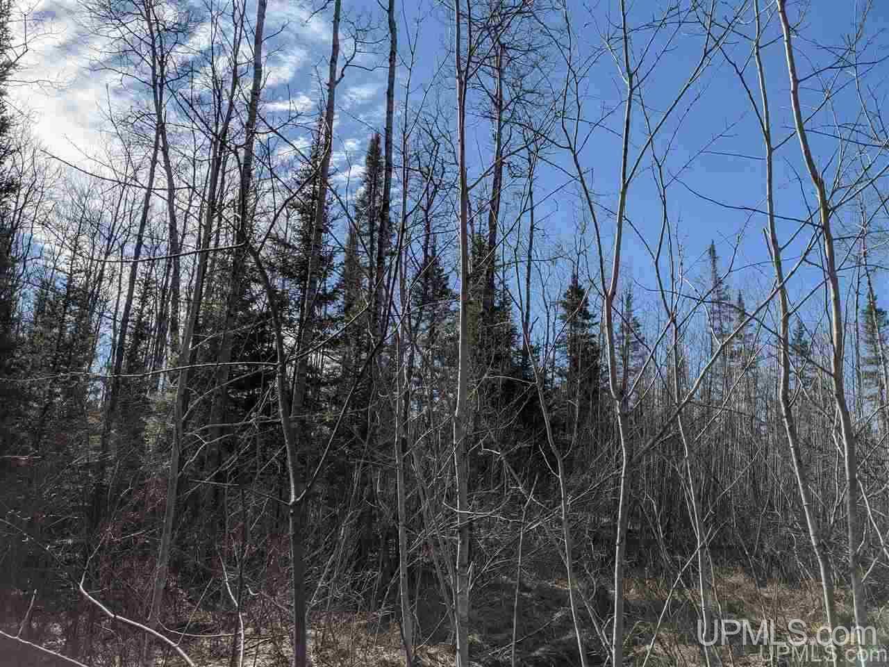 2 Little Bull Road, Unit S1/2NW1/4 Crystal Falls, MI 49920 - Photo 8 of 10